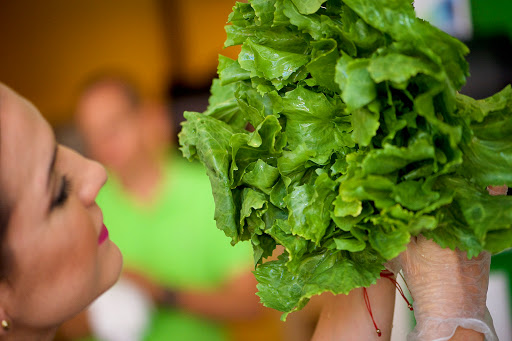 Grocery Store «Sanatos Healthy Market», reviews and photos, 190 Minorca Ave, Coral Gables, FL 33134, USA