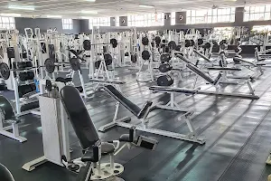 The Muscle Company gym image