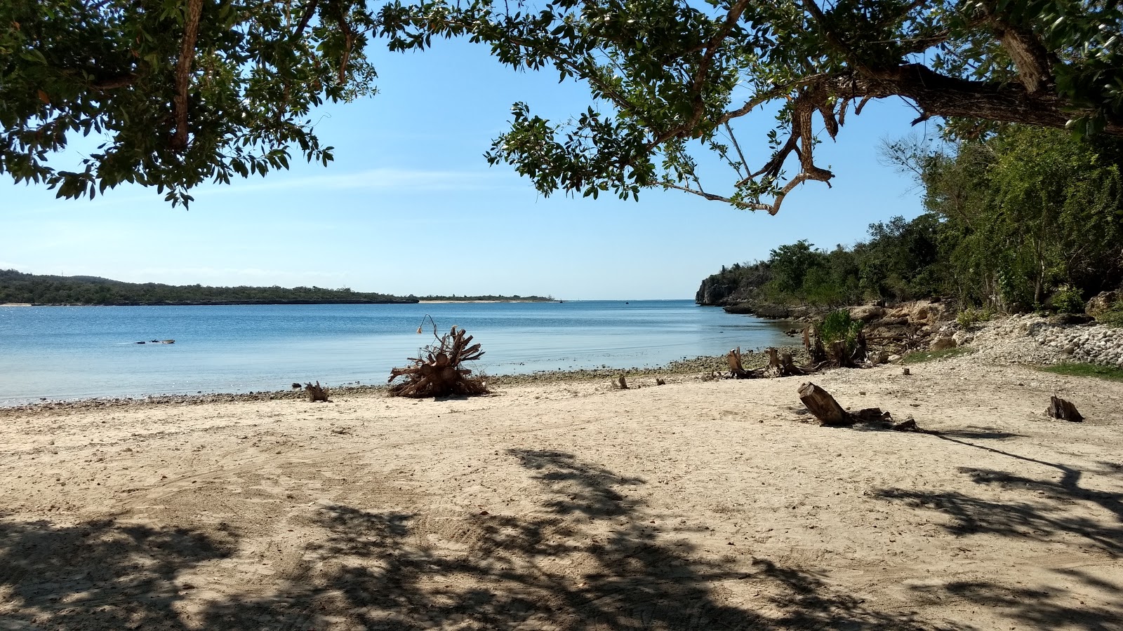 Fotografie cu Playa La Guanas cu o suprafață de apa turcoaz