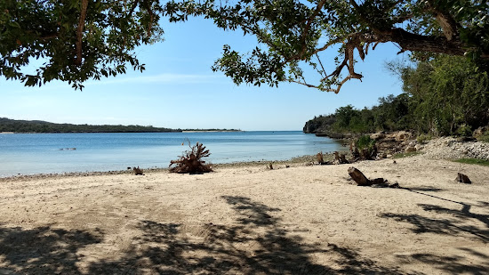 Playa La Guanas