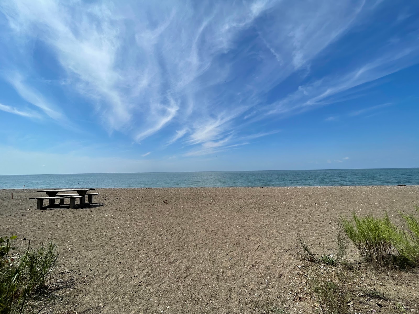 Foto von Black Willow Beach mit graue kiesel Oberfläche