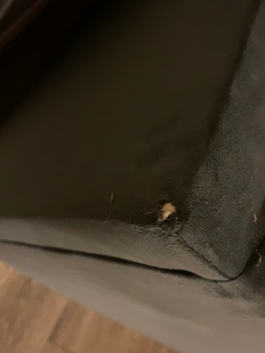 Moving and Storage Service «All My Sons Moving & Storage», reviews and photos, 22035 N Black Canyon Hwy, Phoenix, AZ 85027, USA