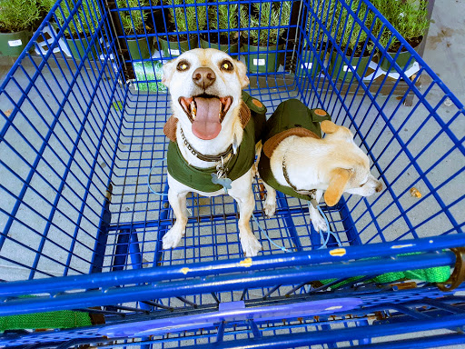 Discount Store «Ocean State Job Lot», reviews and photos, 2150 Middle Country Rd, Centereach, NY 11720, USA