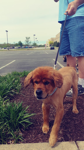 Pet Supply Store «Petco Animal Supplies», reviews and photos, 217 Oak Lee Dr #16, Ranson, WV 25438, USA