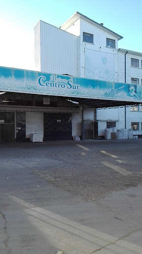 Opiniones de Productos Centro Sur. en Bulnes - Tienda de ultramarinos