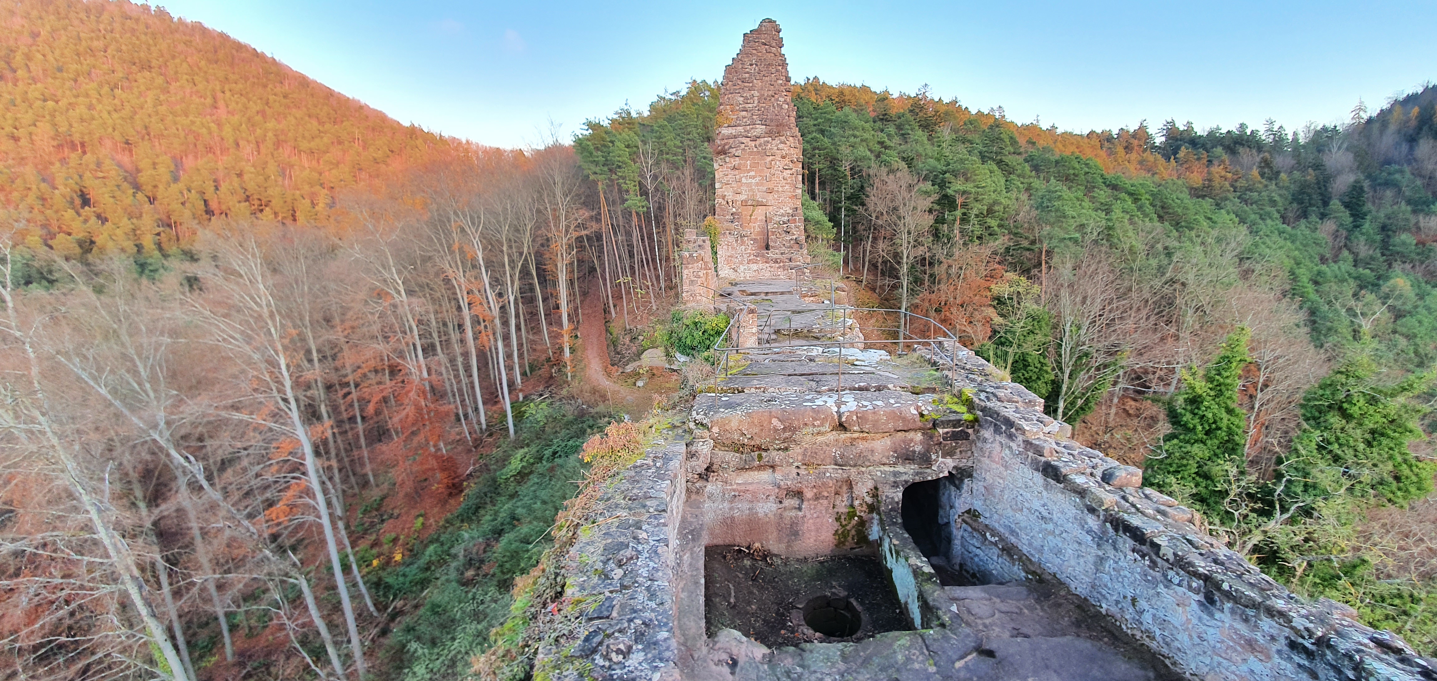 Photo n° 5 de l'avis de Vidar.. fait le 30/11/2021 à 06:44