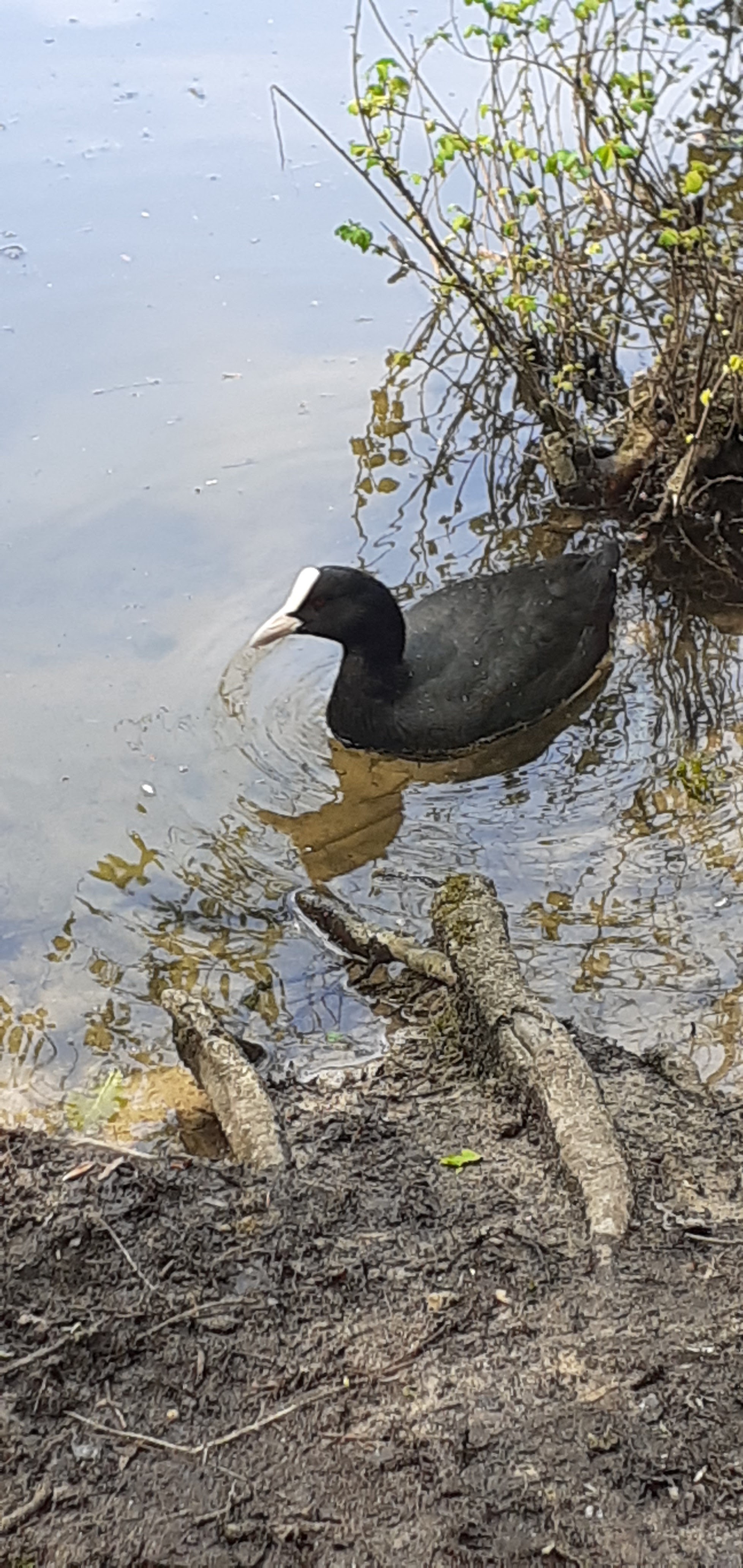 Photo n° 4 de l'avis de Patou.e fait le 15/04/2022 à 14:23