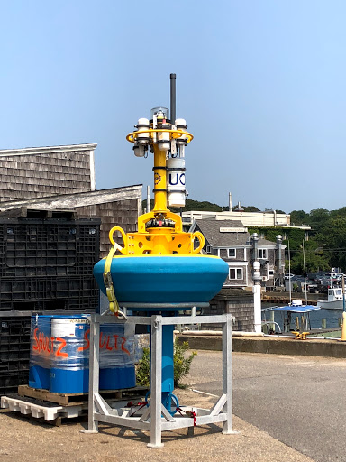 Aquarium «Woods Hole Science Aquarium», reviews and photos, 166 Water St, Woods Hole, MA 02543, USA