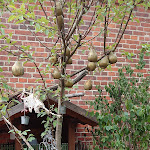 Photo n°1 de l'avis de Kristin.u fait le 07/07/2019 à 14:52 sur le  Laundry von Ribbeck à Nauen