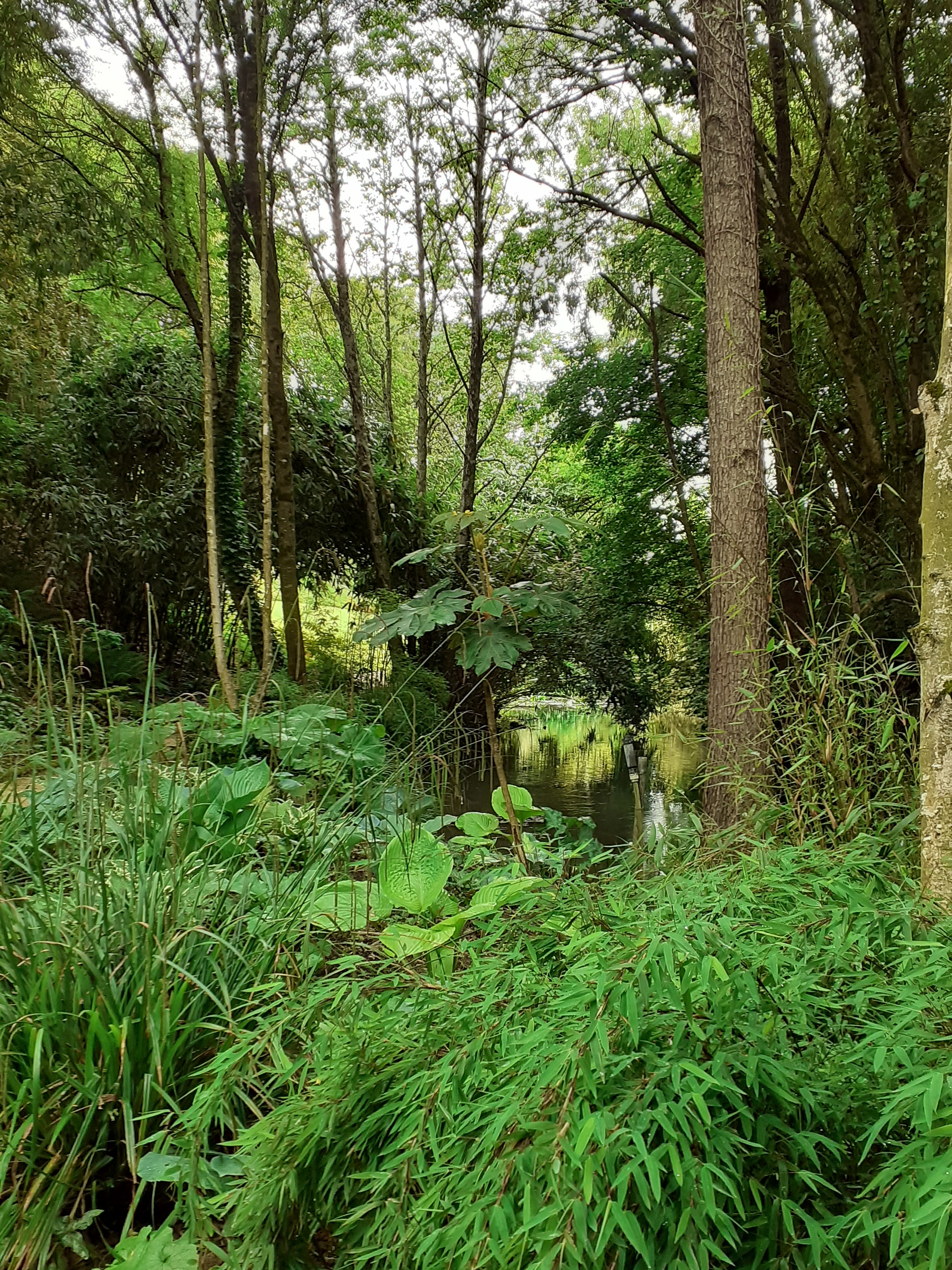 Photo n° 19 de l'avis de Kirenia.e fait le 22/05/2021 à 17:27