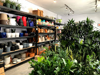 Natty Garden - Photo 7 - Car repair in Brooklyn, NY, New York
