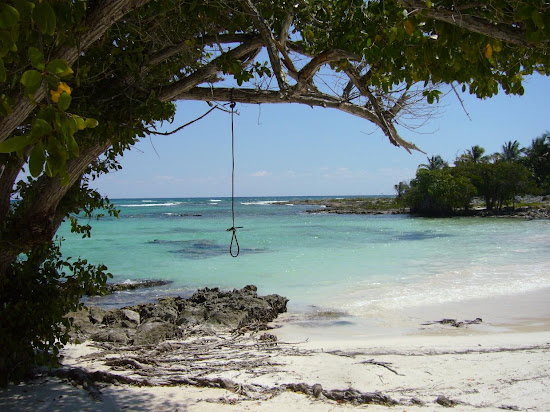 Akumal bay beach