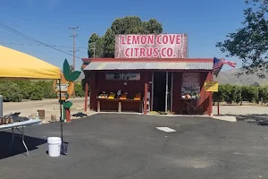 Lemon Cove Citrus Company LLC image