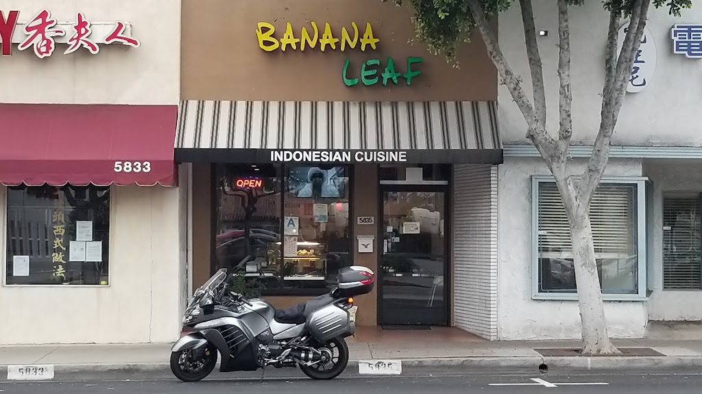 Banana Leaf 91780