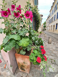 Photo n°2 de place saint-pierre à Saint-Germain-en-Laye ()