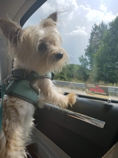 Pet Supply Store «Petco Animal Supplies», reviews and photos, 5239 Harvey St, Norton Shores, MI 49444, USA