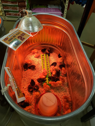 Department Store «Coastal Farm & Ranch», reviews and photos, 2112 S 1st St, Yakima, WA 98903, USA