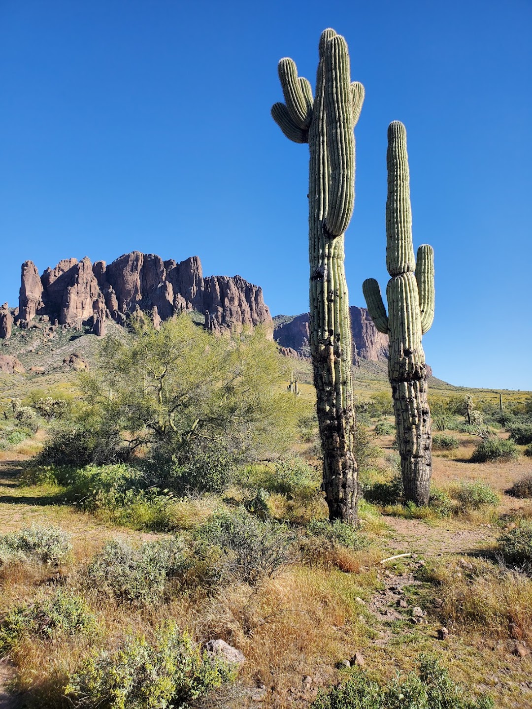Lost Dutchman State Park Check-In Office