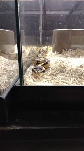 Pet Store «Wildside Pets», reviews and photos, 1042 N Higley Rd #105, Mesa, AZ 85205, USA