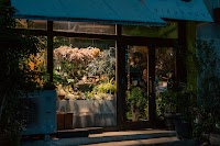 VIBURNUM 花