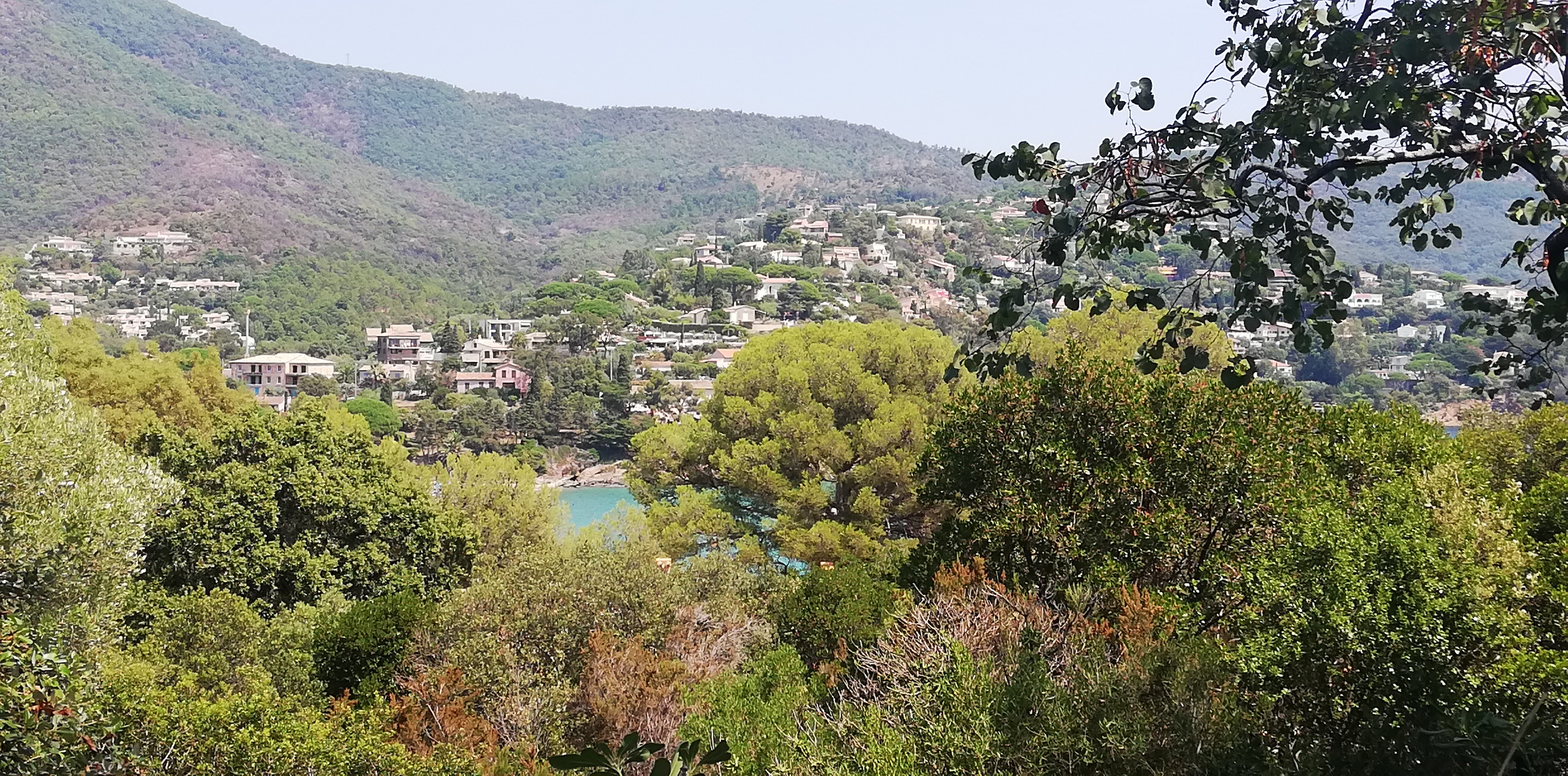 Photo n° 7 de l'avis de manu624000. fait le 05/08/2019 à 12:10