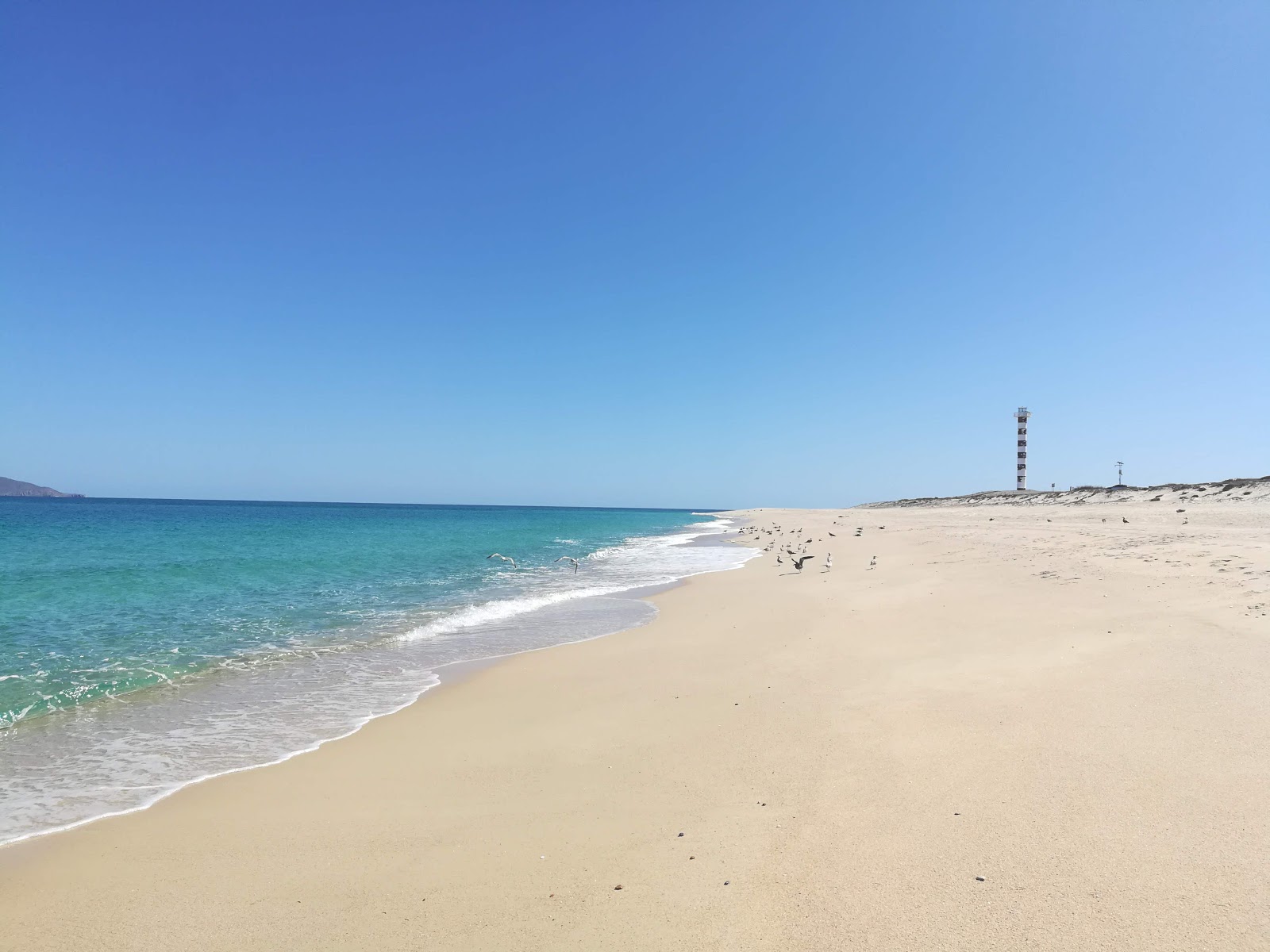 Fotografie cu Playa Punta Arenas cu o suprafață de apa pură turcoaz