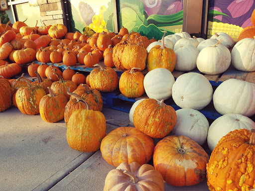 Health Food Store «Sprouts Farmers Market», reviews and photos, 5130 Peachtree Pkwy #100, Peachtree Corners, GA 30092, USA