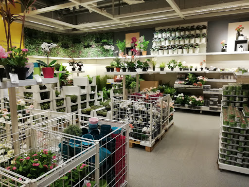 Sklepy kupić sztuczne rośliny Katowice
