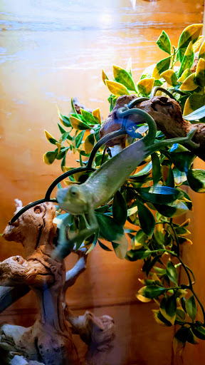 Pet Store «Fin-N-Feather», reviews and photos, 2931 F St, Eureka, CA 95501, USA