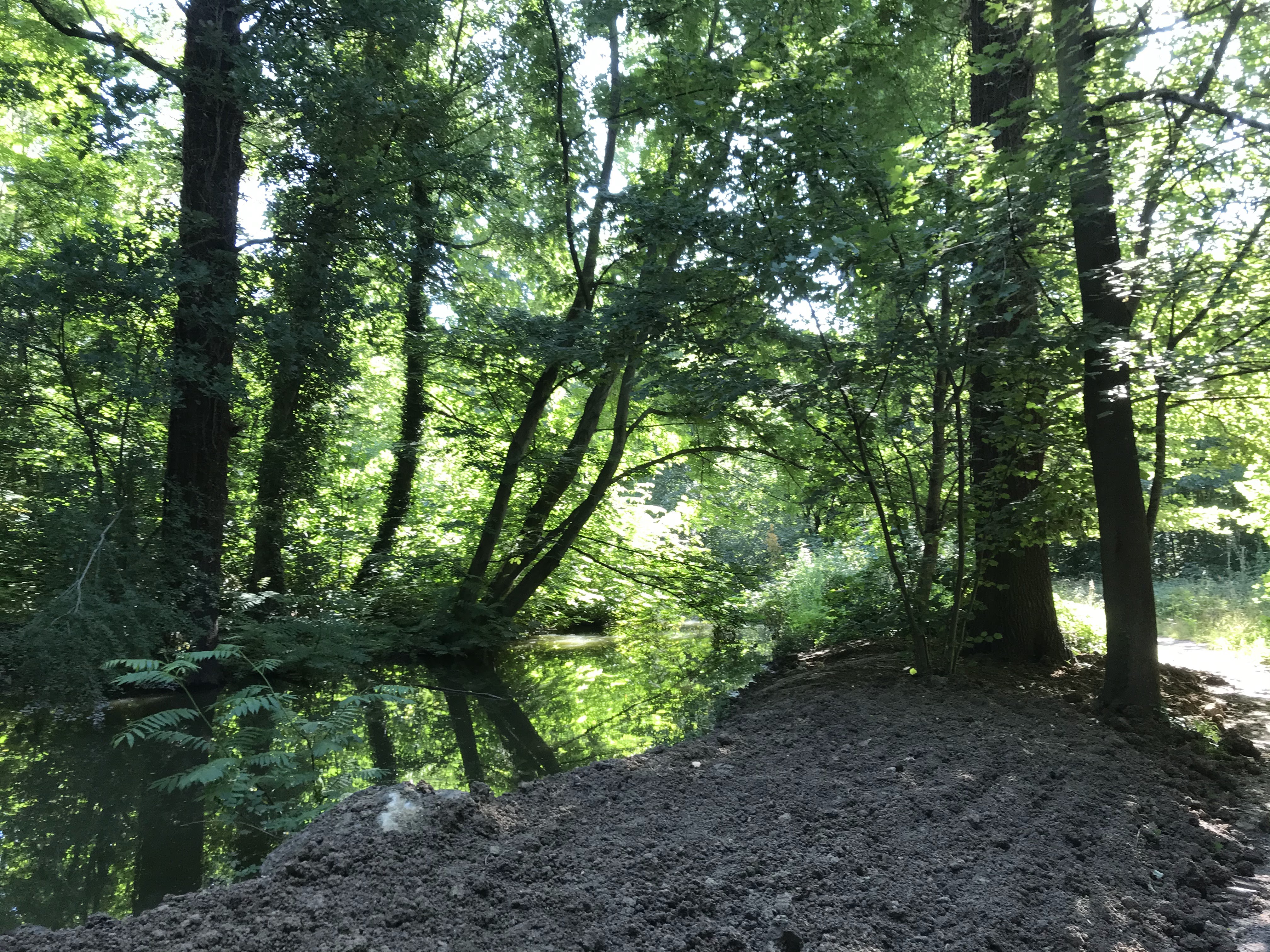 Photo n° 6 de l'avis de Gaelle.T fait le 12/02/2023 à 10:18