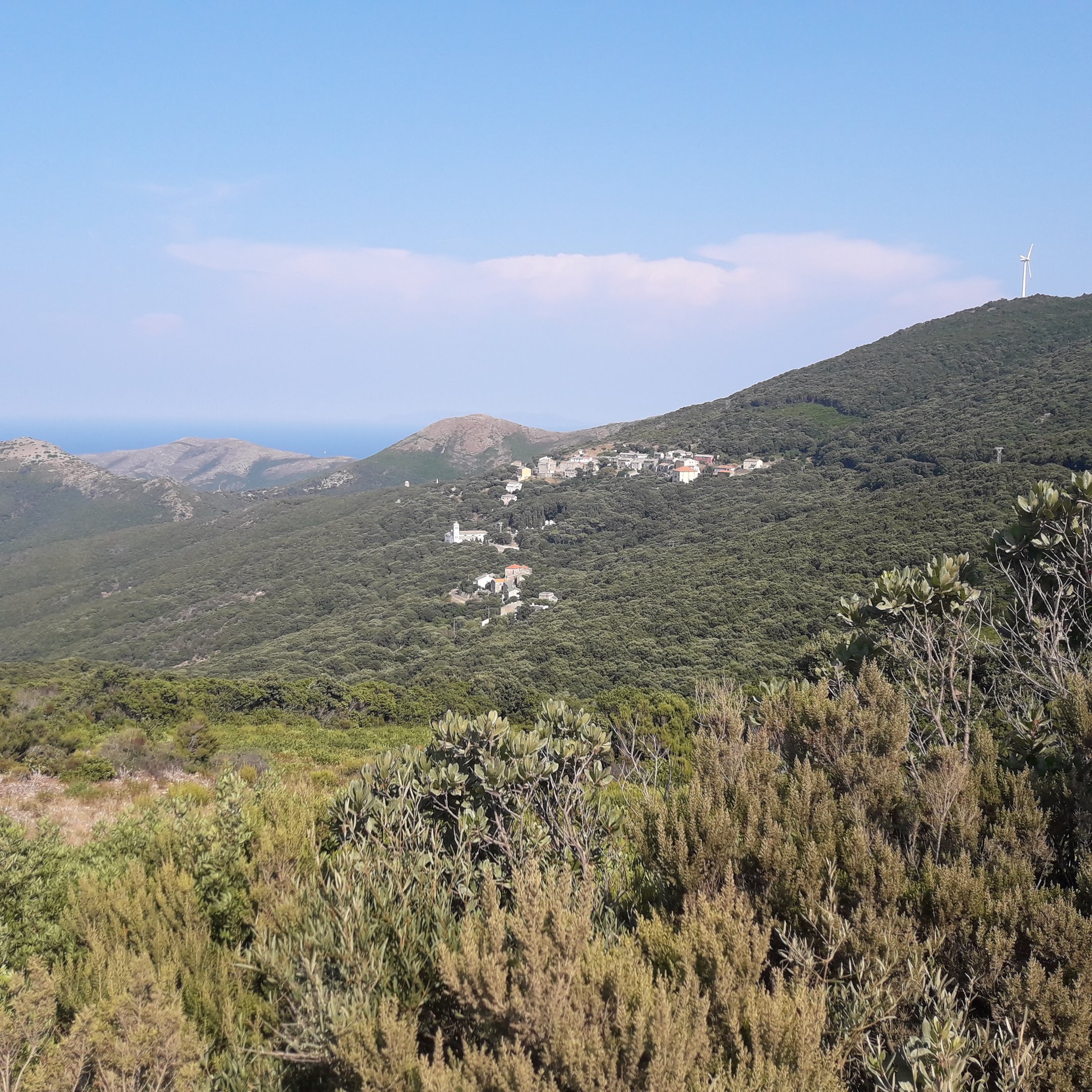Photo n° 4 de l'avis de Farfalla.n fait le 19/08/2018 à 17:37