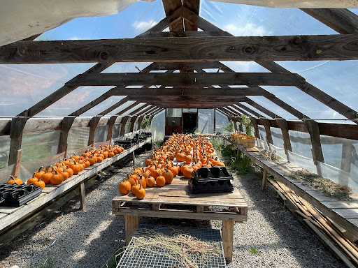 Produce Market «Smith Farm», reviews and photos, 131 Kimball Hill Rd, Hudson, NH 03051, USA