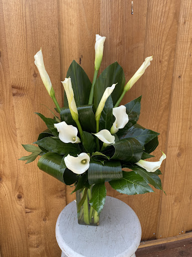 Florist «Brunettos», reviews and photos, 6227 Santa Teresa Blvd, San Jose, CA 95119, USA