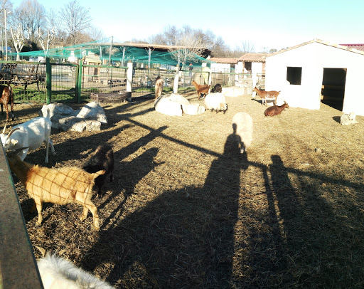 La Ferme Pédagogique