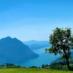 Photo n°1 de l'avis de Cindy.� fait le 14/08/2021 à 17:11 sur le  Ristorante Pizzeria SETTE COLLI à Bossico