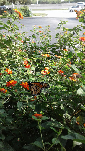 Shoe Store «SAS Factory Shoe Store», reviews and photos, 17995 I-35, Schertz, TX 78154, USA