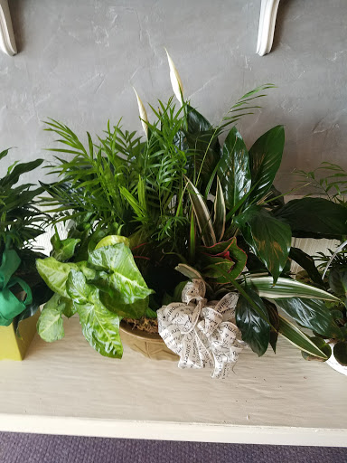 Florist «Tampa Flowers and Baskets», reviews and photos, 4719 Normandy Dr, Tampa, FL 33615, USA