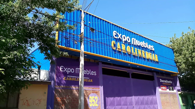 Opiniones de Expo Mueble Carolineduar en Chillán - Centro comercial
