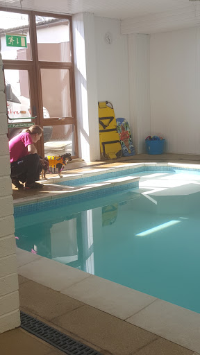 Chapel Farm Rehab - Canine Rehabilitation & Hydrotherapy Referral Centre