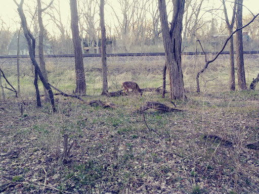 Country Club «Glen Oak Country Club», reviews and photos, 21 W 451 Hill Ave, Glen Ellyn, IL 60137, USA