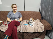 The Natural Pet Tooth Fairy - Photo 8 - Car repair in Vacaville, CA, Vacaville