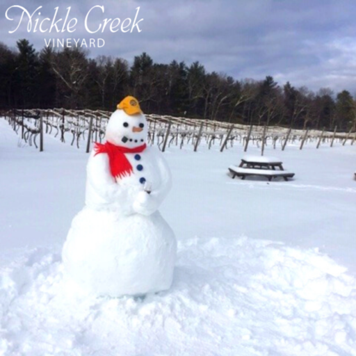 Vineyard «Nickle Creek Vineyard», reviews and photos, 12 King Rd, Foster, RI 02825, USA