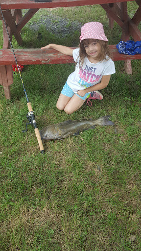 Fishing Store «Indian Creek Fishing & Fire Arms», reviews and photos, 3479 Mango Dr, Danielsville, PA 18038, USA