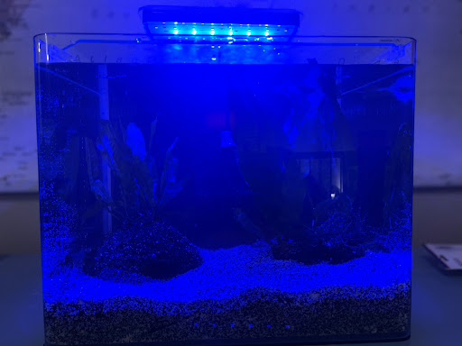 Pet Supply Store «Petco Animal Supplies», reviews and photos, 210 Franklin Rd #300, Brentwood, TN 37027, USA