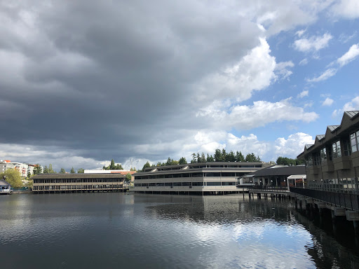 Attorney «Jeannie P. Mucklestone. PS. Inc.», reviews and photos