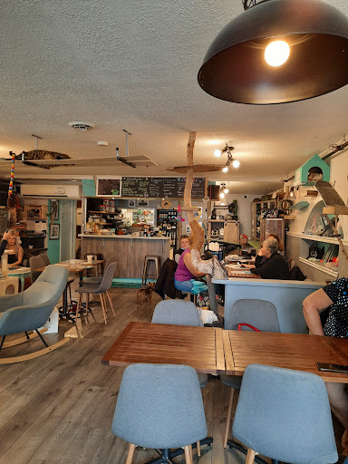 Café Félin Ma Langue Aux Chats