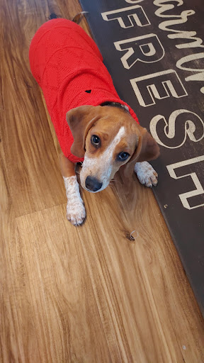 Pet Supply Store «Petco Animal Supplies», reviews and photos, 4820 South Baldwin Road #3B, Orion Township, MI 48359, USA