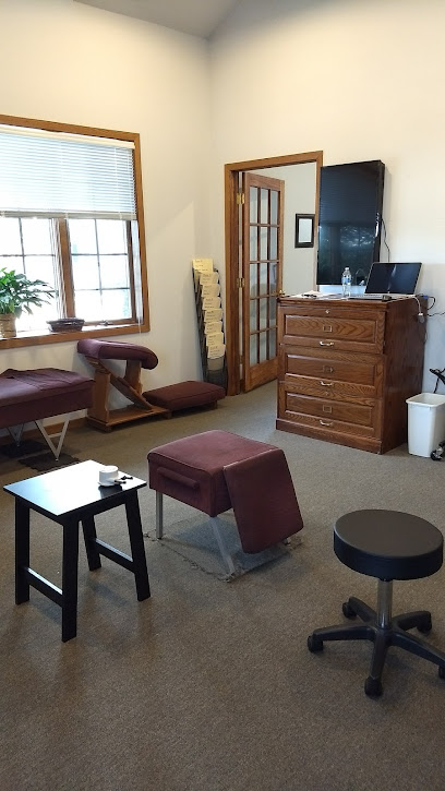 Landin Chiropractic Care - Chiropractor in Elgin Illinois