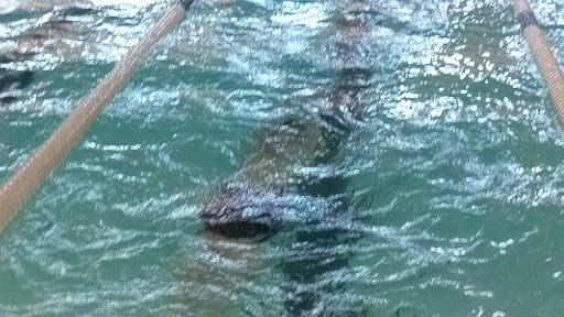 Community Center «Washington City Community Center», reviews and photos, 350 Community Center Drive, Washington, UT 84780, USA