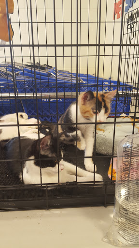 Pet Supply Store «PetSmart», reviews and photos, 8315 SW Jack Burns Blvd, Wilsonville, OR 97070, USA